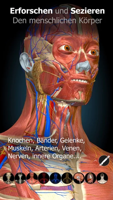 Anatomy Learning - 3D-Anatomie screenshot 3