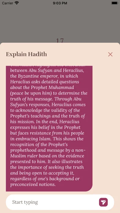 The Daily Hadith screenshot 4