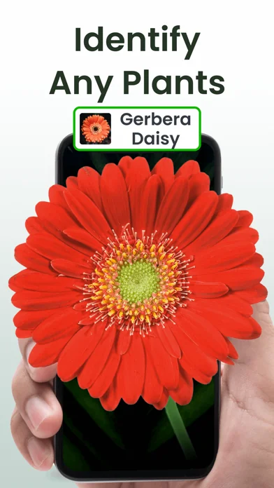 Plant Identifier: Plantiary