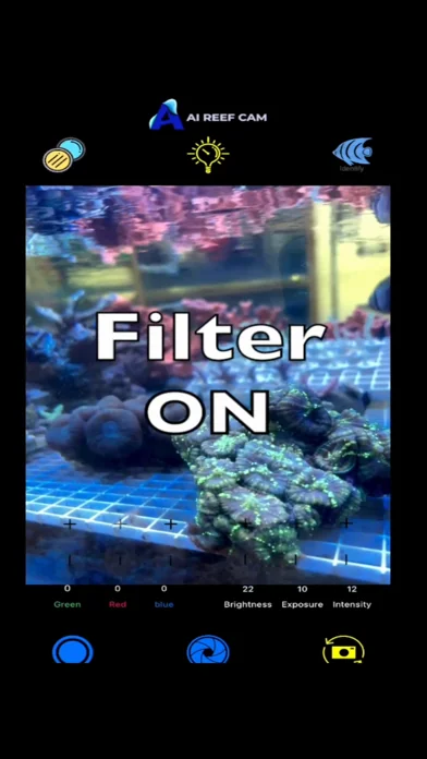 AI Reef Cam
