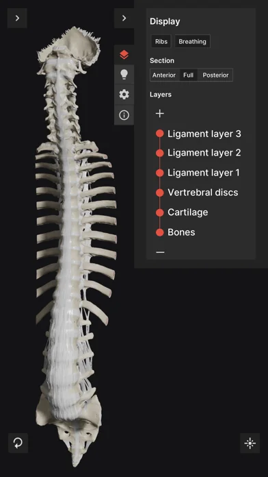 Biomechanics of the Spine Lite