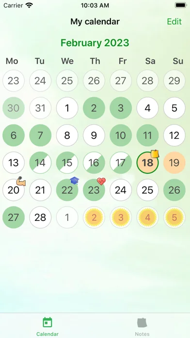 My Calendar - Shift schedule