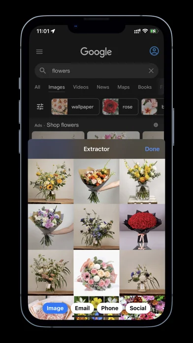 Extractor for Safari