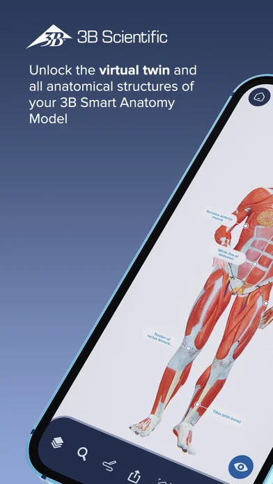 3B Smart Anatomy