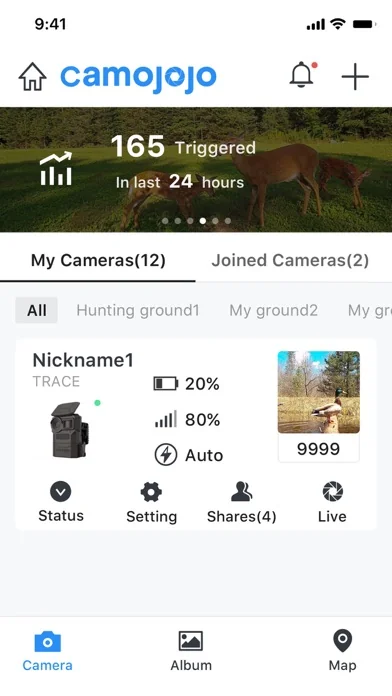 Camojojo