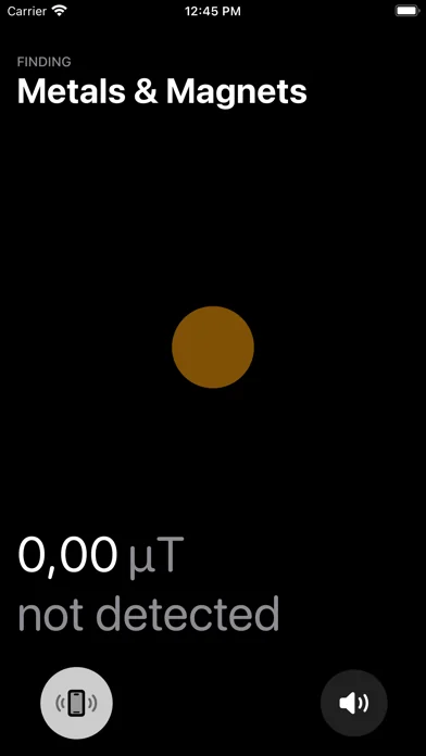 Magnetometer