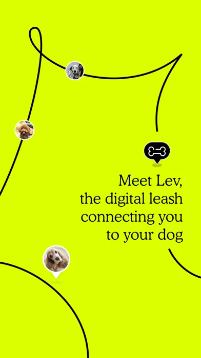 Lev: Meet Dogs & Explore
