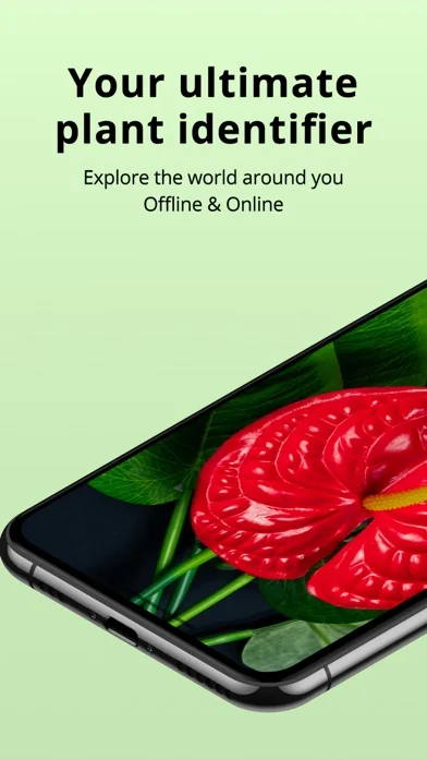 Plantion - Plant Identifier