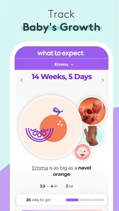 Pregnancy Baby Tracker - WTE screenshot 1