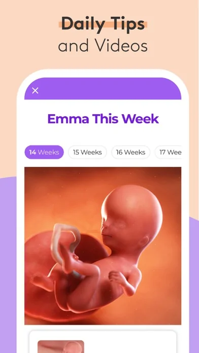 Pregnancy Baby Tracker - WTE screenshot 2