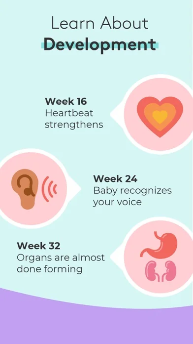 Pregnancy Baby Tracker - WTE screenshot 4