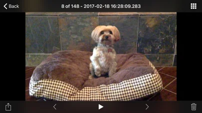 iCam - Webcam Video Streaming screenshot 4