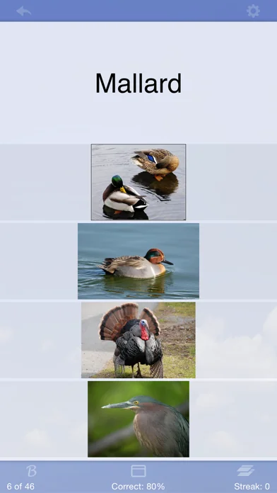 Flashcards Deluxe screenshot 2