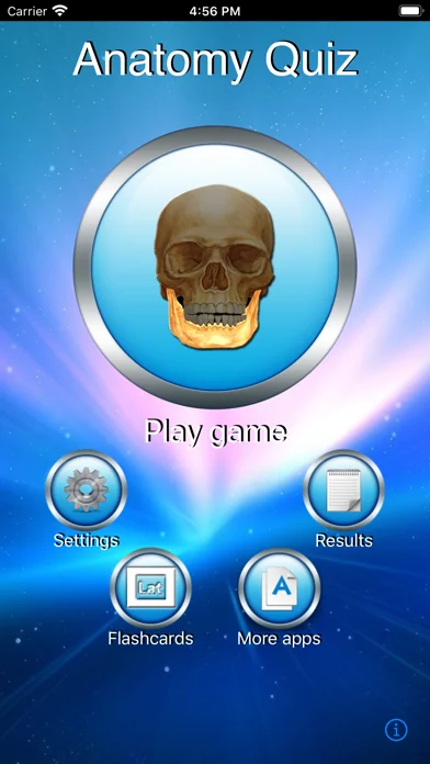 Anatomie Fragespiel