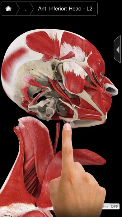 Muscle System Pro III - iPhone