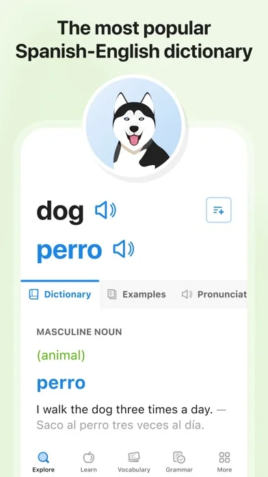 SpanishDictionary.com Learning