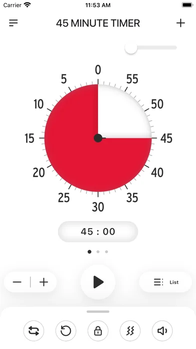 Time Timer