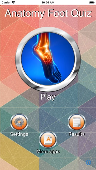 Anatomy Foot Quiz