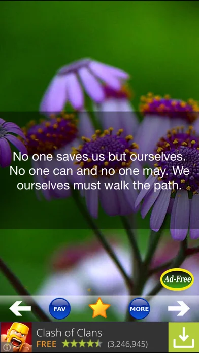 Buddha & Buddhism Quotes 500! screenshot 2