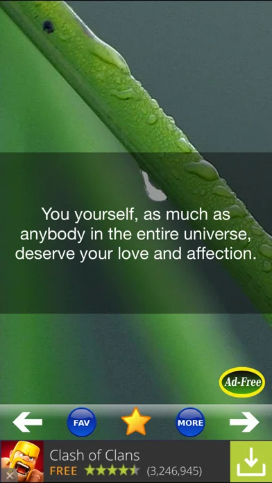 Buddha & Buddhism Quotes 500! screenshot 3