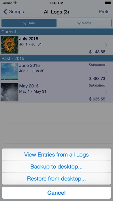 BizXpenseTracker screenshot 3