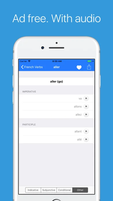 French Verb Conjugator Pro