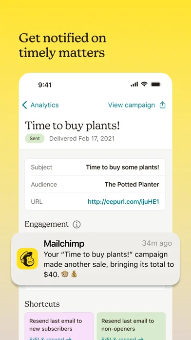 Mailchimp Email Marketing screenshot 1