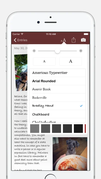 Chronicle - A Personal Journal / Writing Diary screenshot 3