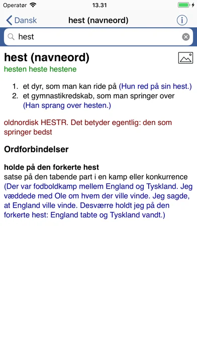 Din Danske Ordbog