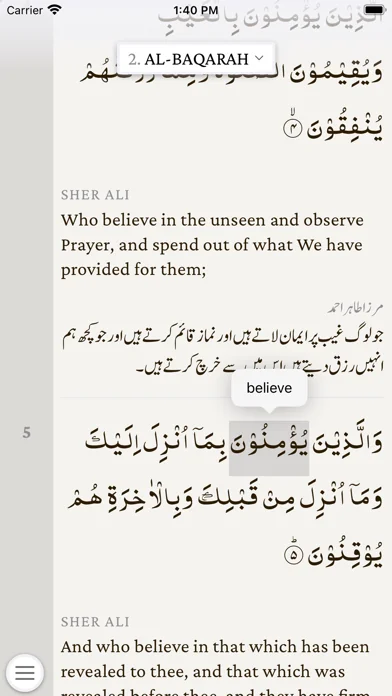 The Holy Quran  القرآن الکریم screenshot 2