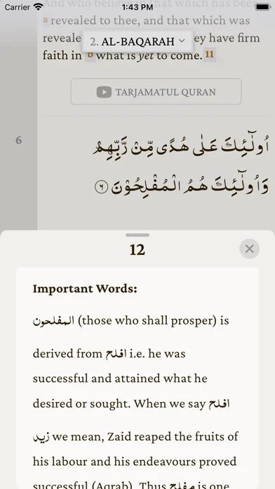 The Holy Quran  القرآن الکریم screenshot 4
