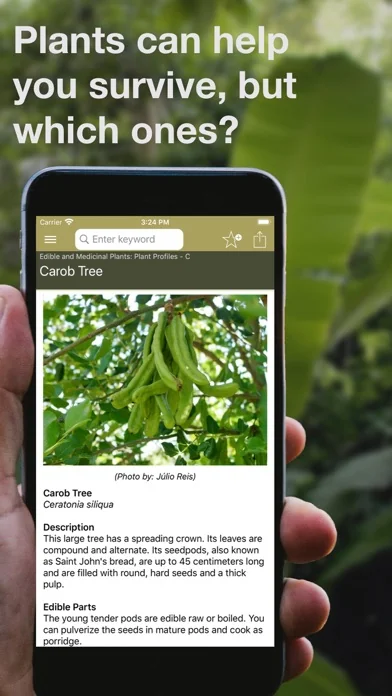 Wild Plant Survival Guide