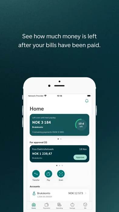 DNB Mobile Bank