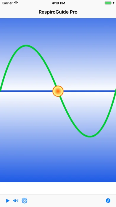 Vital-EQ Respiroguide Pro