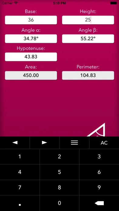 Trigonometrie Hilfe screenshot 2