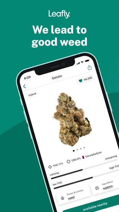 Leafly: Find Weed Near You screenshot 1