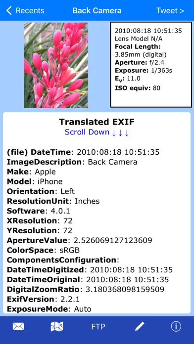Exif Wizard-Pro