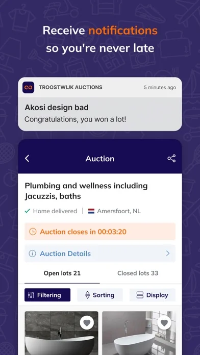 Troostwijk Auctions: Veilingen screenshot 2