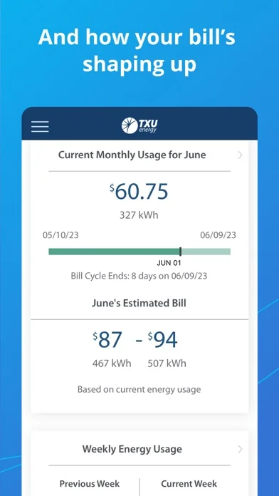 TXU Energy screenshot 3