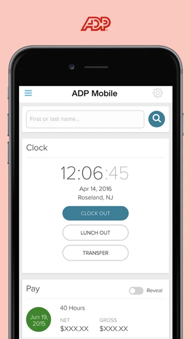 ADP Mobile Solutions screenshot 1