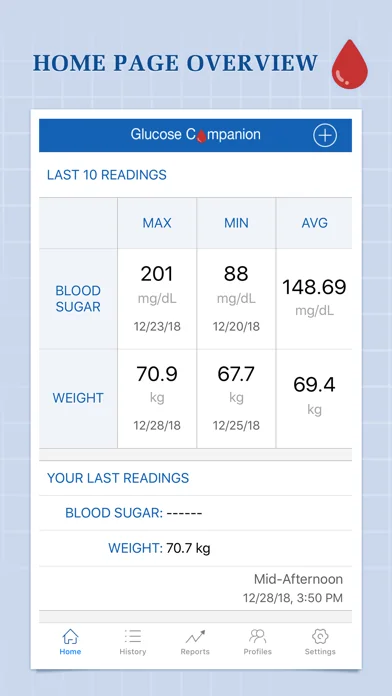 Glucose Begleiter Pro
