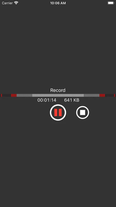 You Record Pro