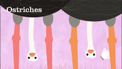 Animals Sounds: Peek-a-Zoo screenshot 3