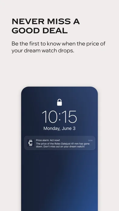 Chrono24 | Luxusuhren shoppen screenshot 2