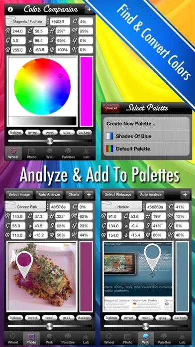 Farbe Companion - Analyzer & Converter