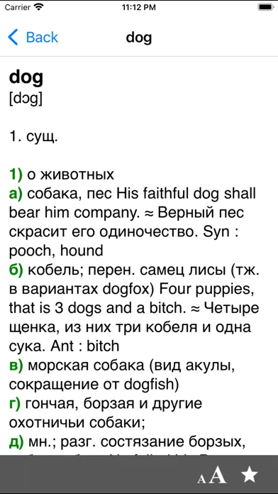 Big English-Russian dictionary
