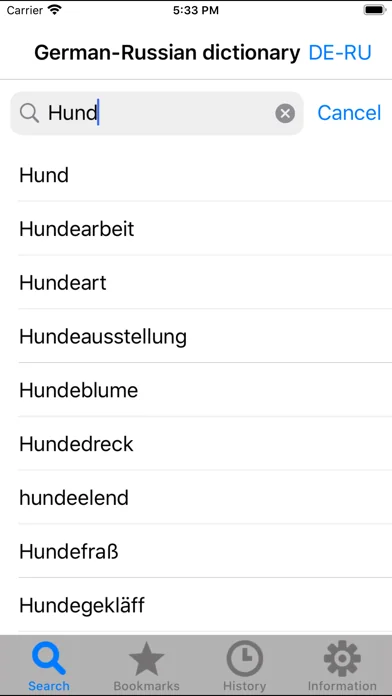 German-Russian dictionary DERU