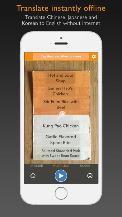 Waygo - Chinese, Japanese, and Korean Translator