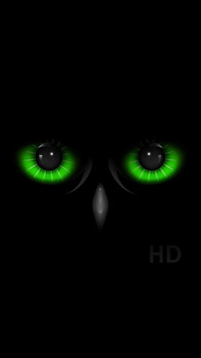 Night Eyes - Nachtsichtkamera screenshot 4