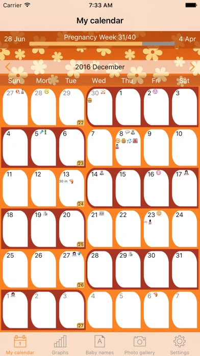 WomanLog Pregnancy Pro